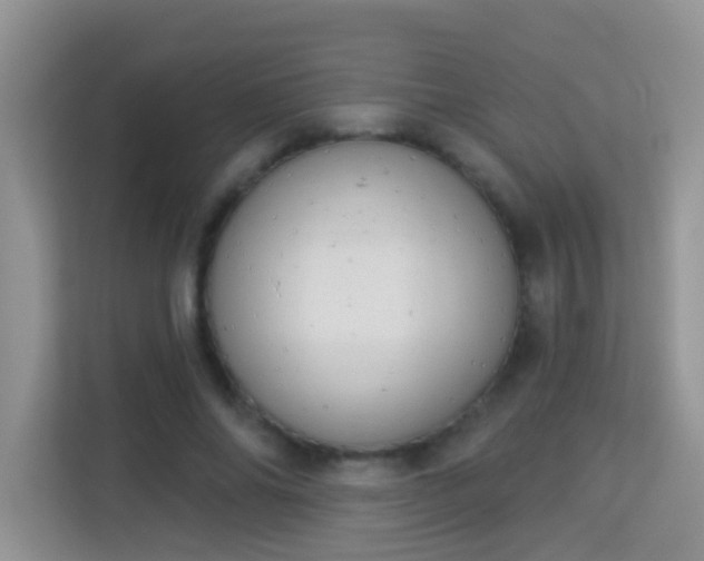 X0000113980686200910091318