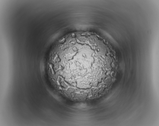 X0000113980687200910091318