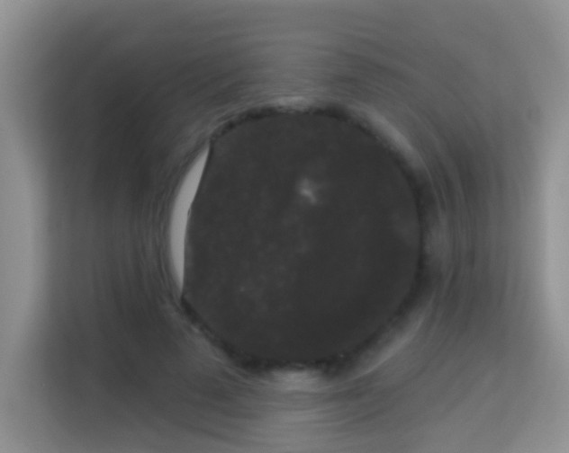 X0000113980689200910091318