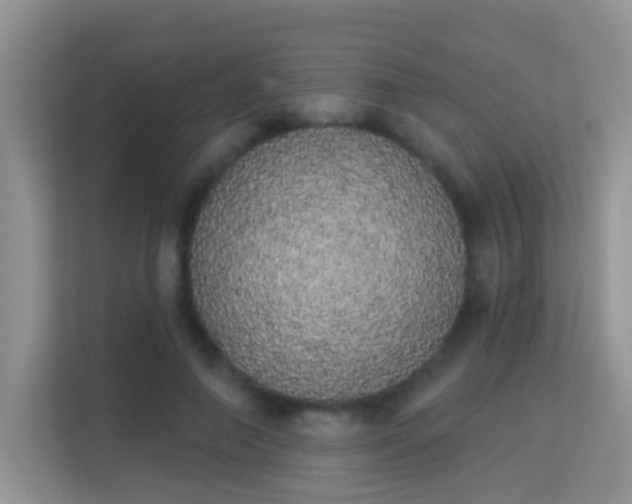 X0000113980690200910091318