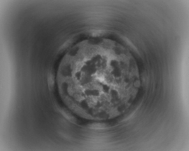 X0000113980691200910091318