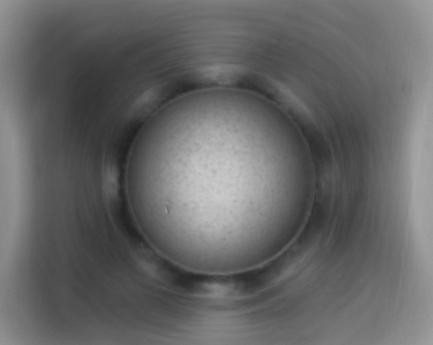 X0000113980693200910091318