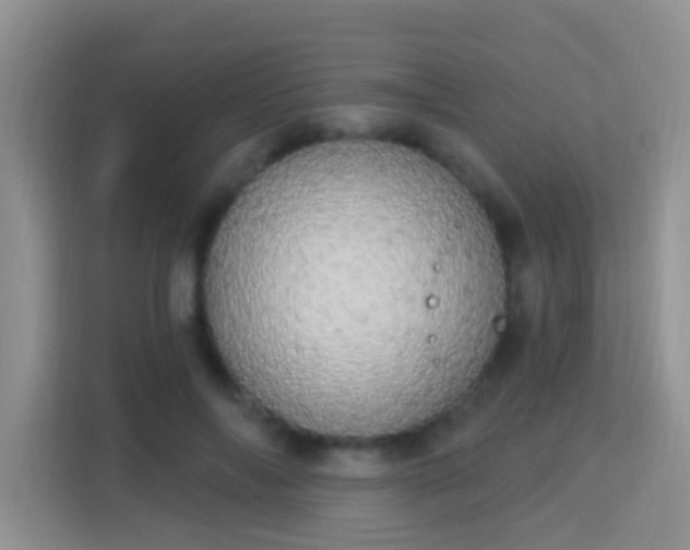 X0000113980694200910091318