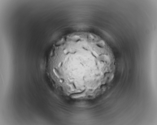 X0000113980695200910091318