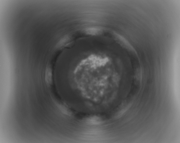 X0000113980696200910091318