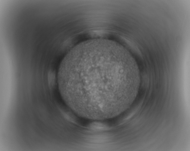 X0000113980699200910091318