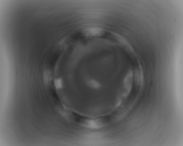 X0000113980701200910091318