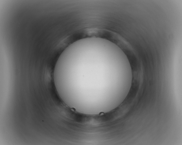 X0000113980702200910091318