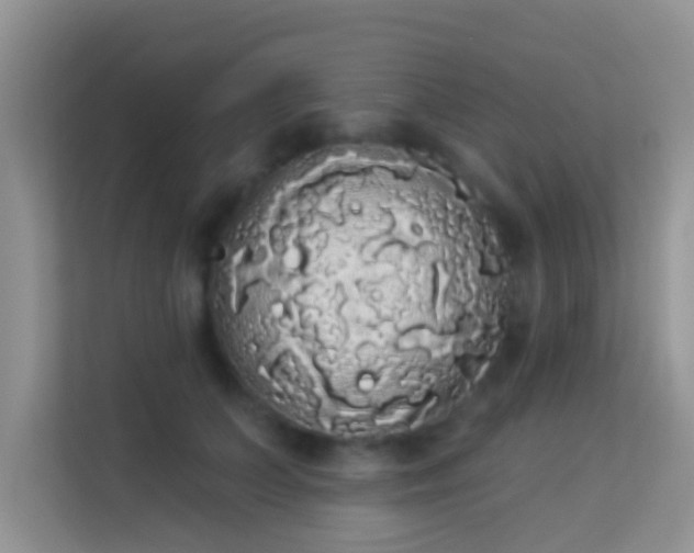 X0000113980703200910091318