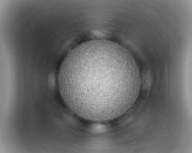 X0000113980706200910091318