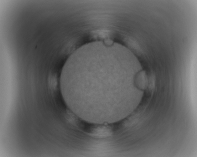 X0000113980709200910091318