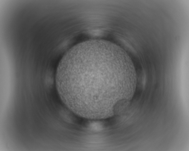 X0000113980710200910091318