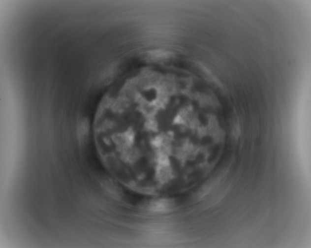 X0000113980711200910091318