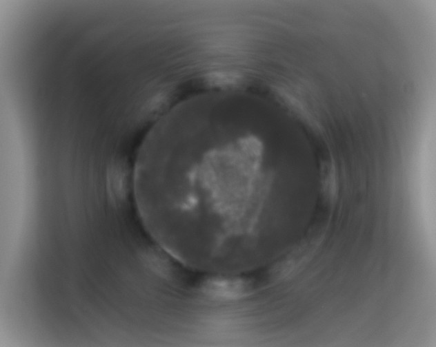 X0000113980712200910091318