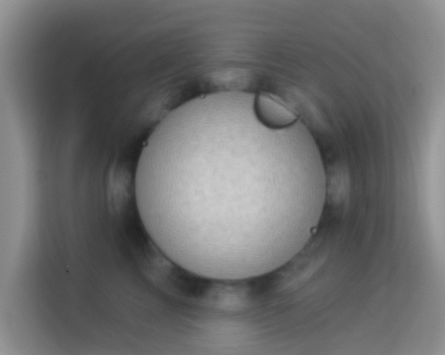 X0000113980713200910091318