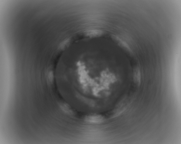 X0000113980716200910091318