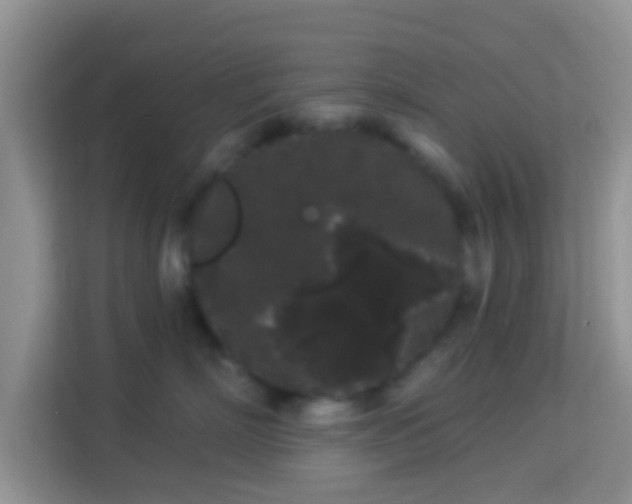 X0000113980718200910091318