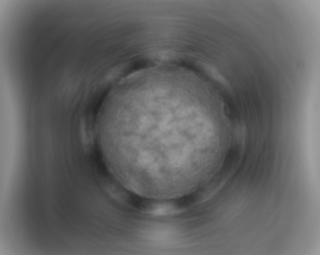 X0000113980719200910091318