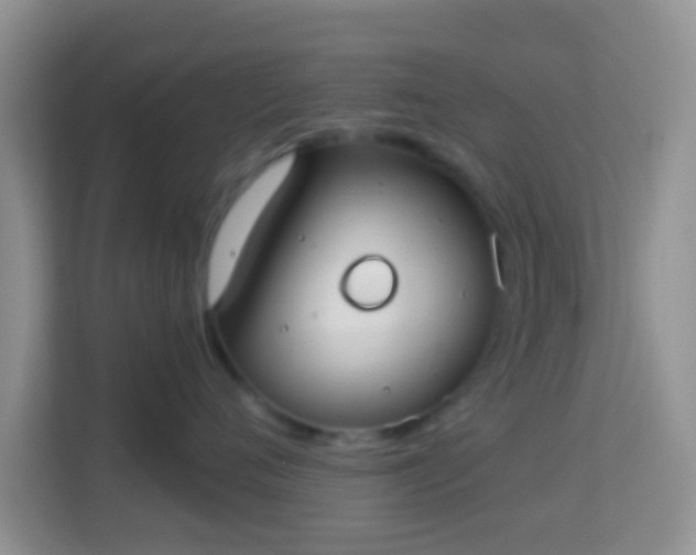 X0000113980720200910091318