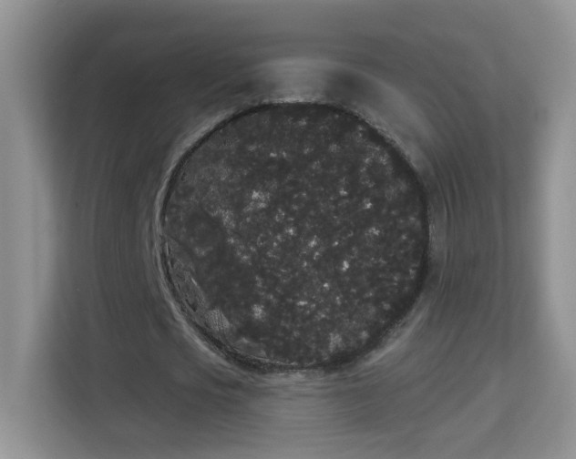 X0000113980721200910091317