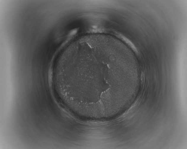 X0000113980722200910091317