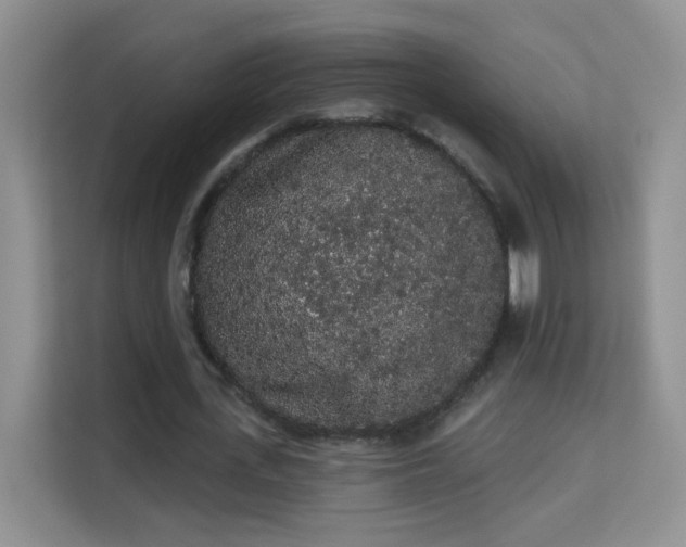 X0000113980723200910091317