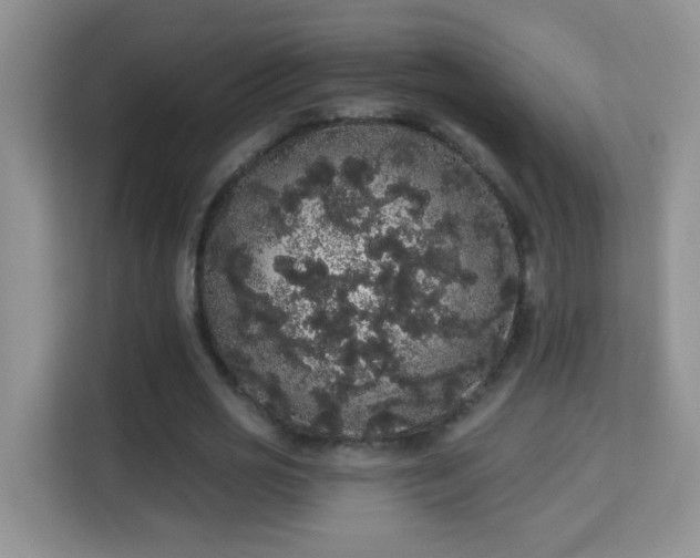 X0000113980725200910091317