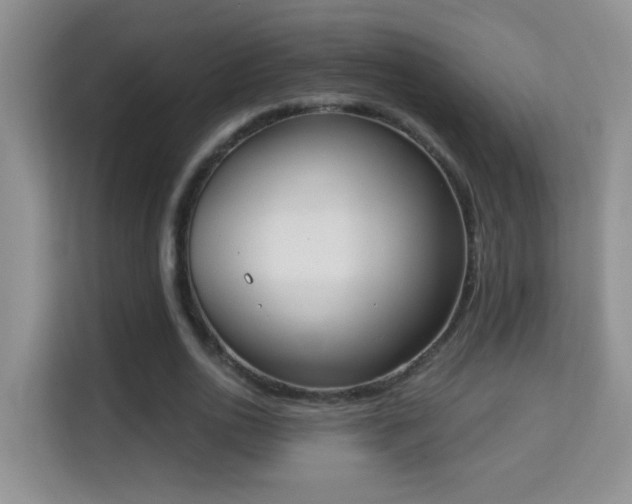 X0000113980726200910091317