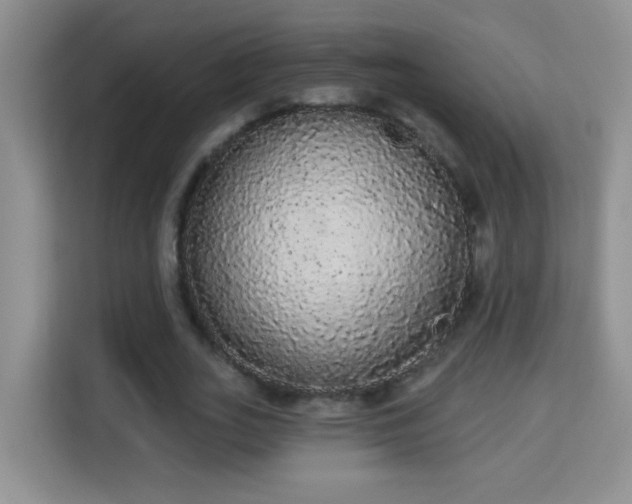 X0000113980727200910091317