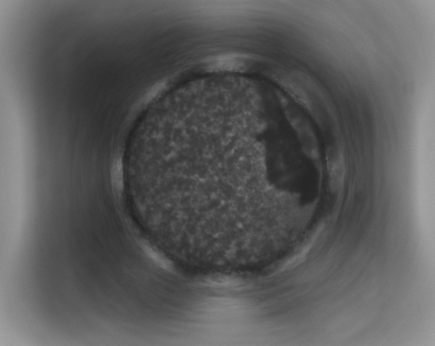 X0000113980729200910091317