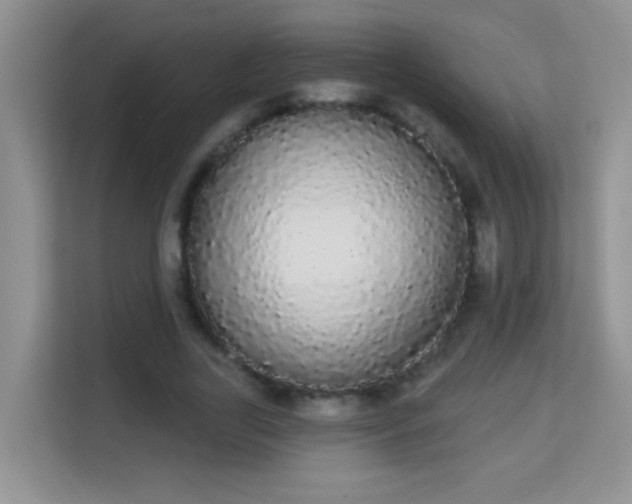 X0000113980731200910091317