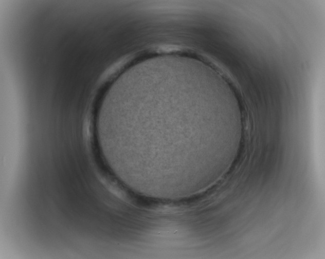 X0000113980732200910091317