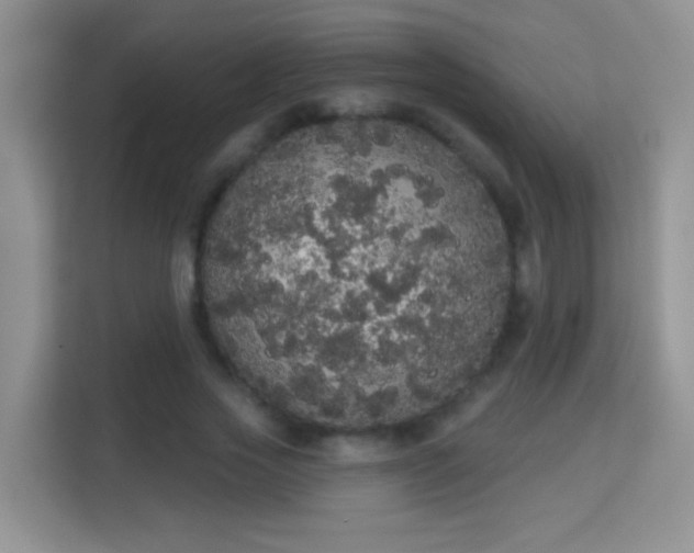 X0000113980733200910091317