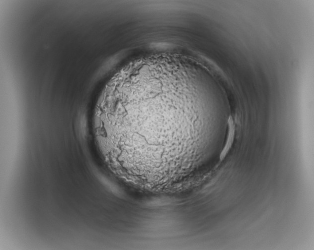 X0000113980734200910091317