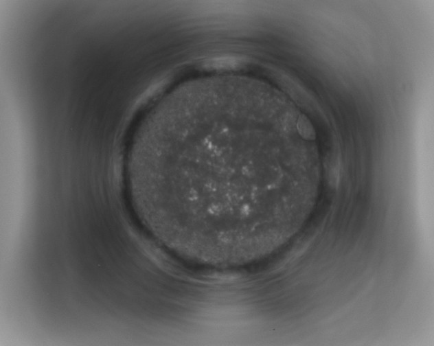 X0000113980735200910091317