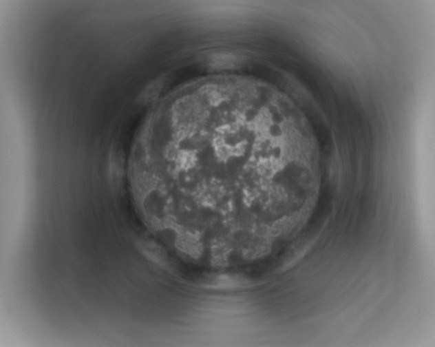 X0000113980737200910091317