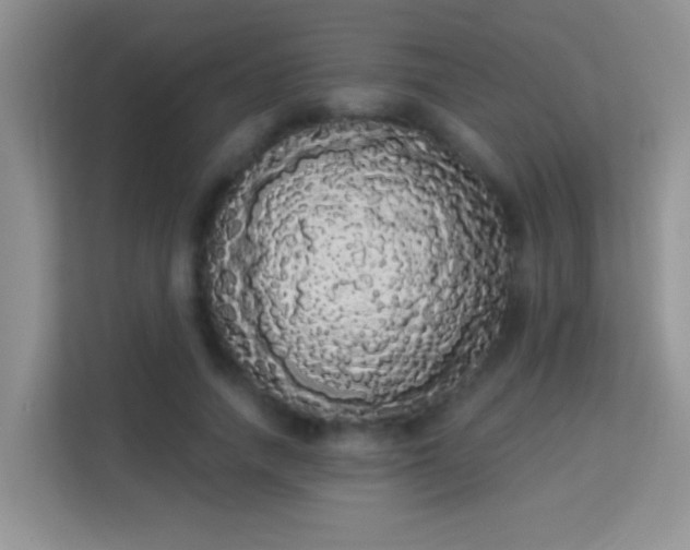 X0000113980738200910091317