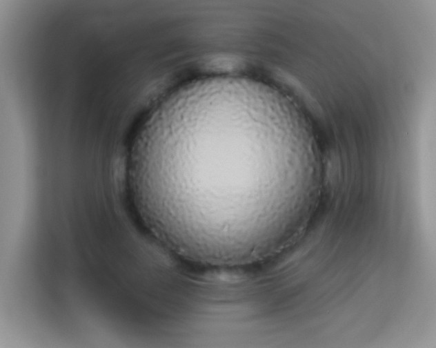 X0000113980739200910091317