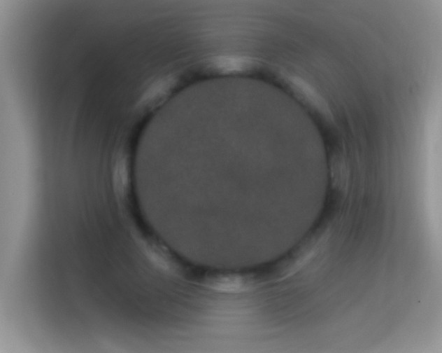 X0000113980740200910091317