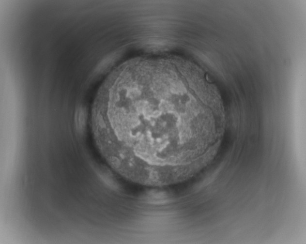 X0000113980742200910091317