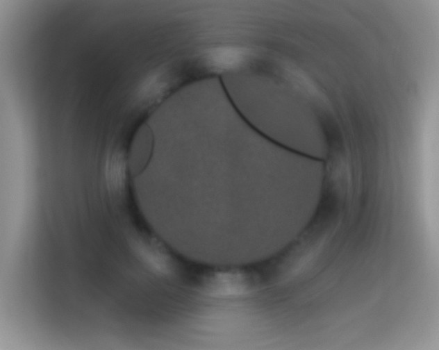 X0000113980744200910091317