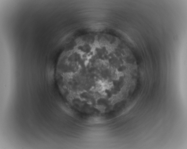 X0000113980745200910091317