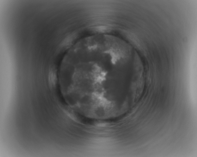 X0000113980746200910091317