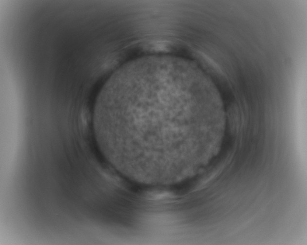 X0000113980747200910091317