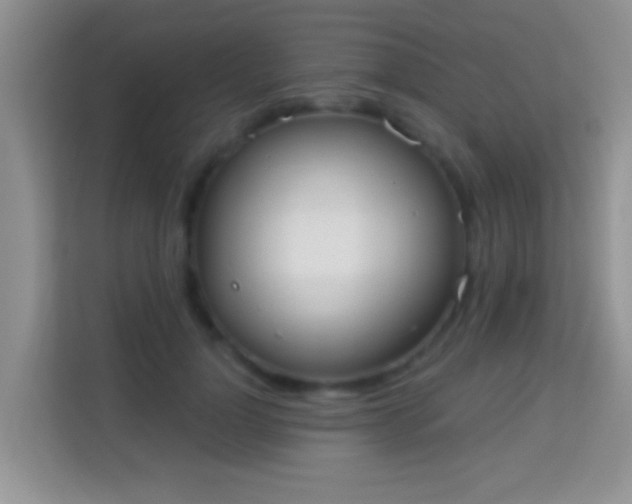 X0000113980748200910091317