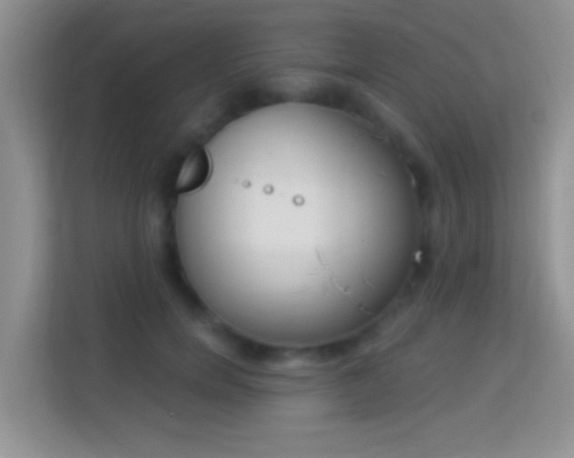 X0000113980750200910091317