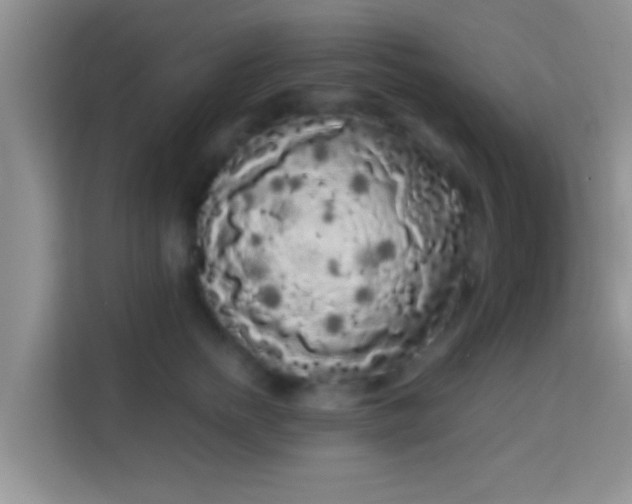 X0000113980758200910091318