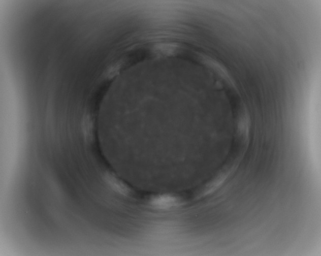 X0000113980759200910091318