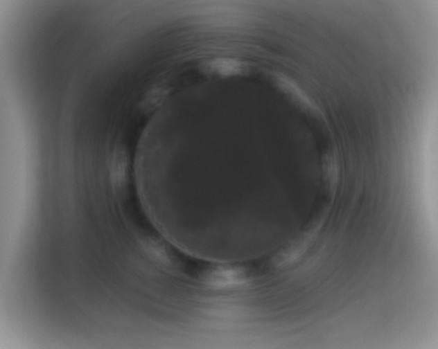 X0000113980760200910091318