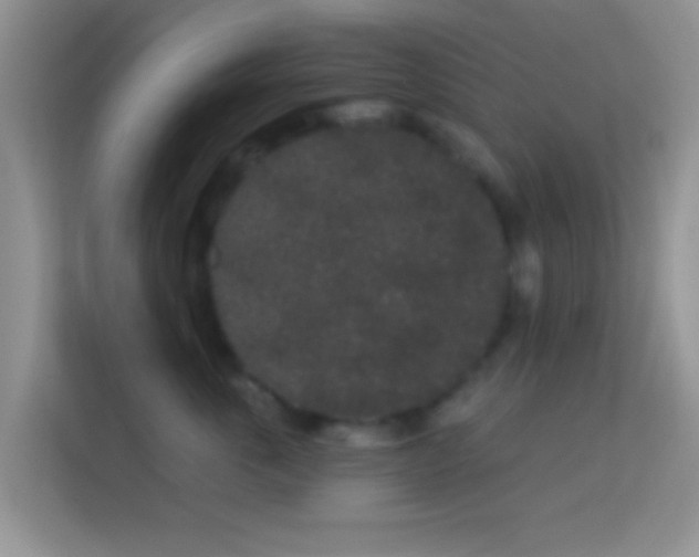 X0000113980763200910091318